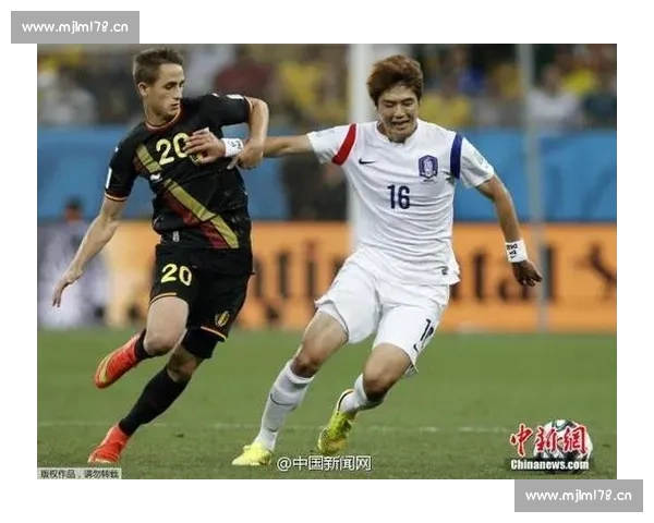 直击全球国际赛犬赛事震撼对决全程高清精彩视频巅峰集锦大赏精华